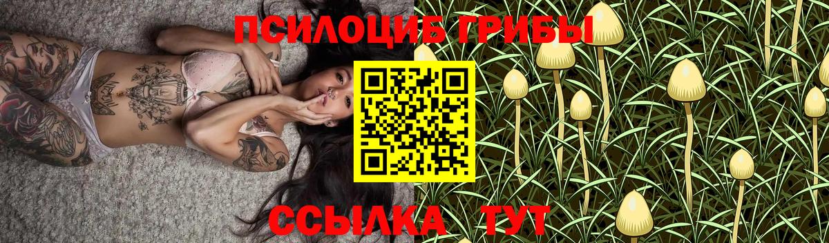 Псилоцибиновые грибы Psilocybine cubensis  Вход с VPN  Псилоцибиновые грибы Magic Shrooms  Котлас 